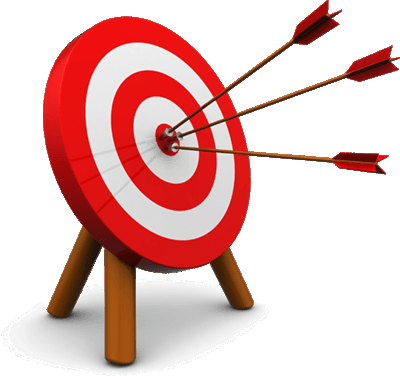 Objectives of the project